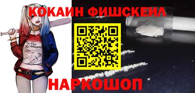 индика Можга