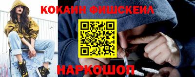 индика Можга