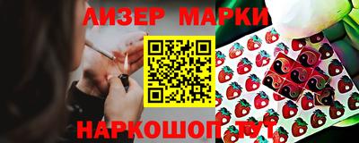 индика Можга