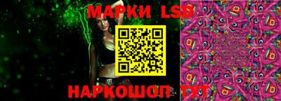 индика Можга
