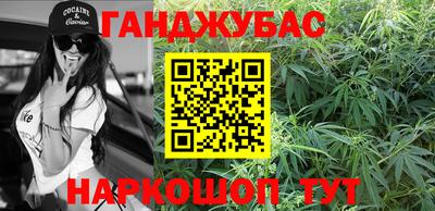 индика Можга