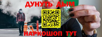индика Можга