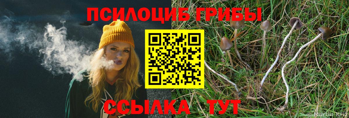 Галлюциногенные грибы мицелий Фурманов