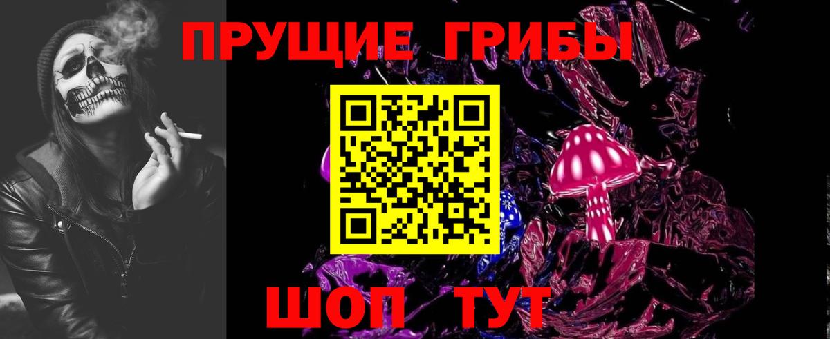 Галлюциногенные грибы Psilocybe  Вход с VPN  Фурманов 